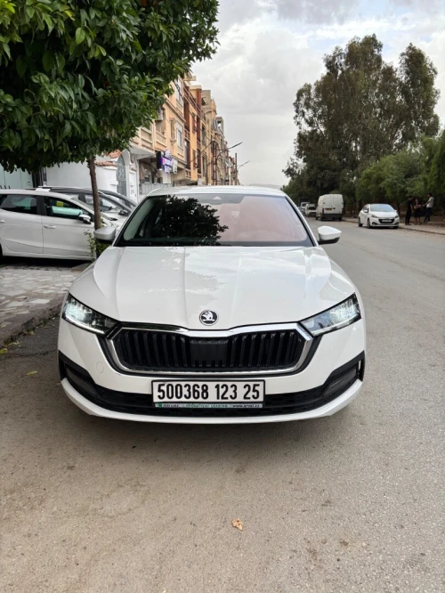 Skoda Octavia 2023 Business