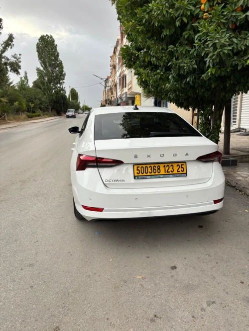Skoda Octavia 2023 Business