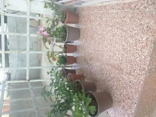 Vente Appartement F5 Alger Bordj el kiffan