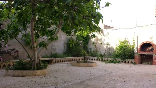 Location Bungalow Chlef Sidi abderrahmane