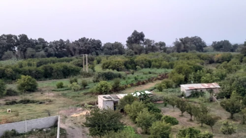 Location Villa Skikda Collo