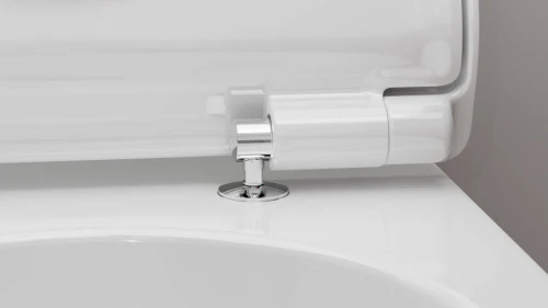 Cuvette Grohe (hansgrohe)