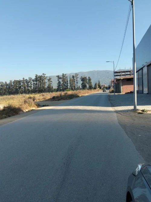 Vente Terrain Blida Boufarik 4
