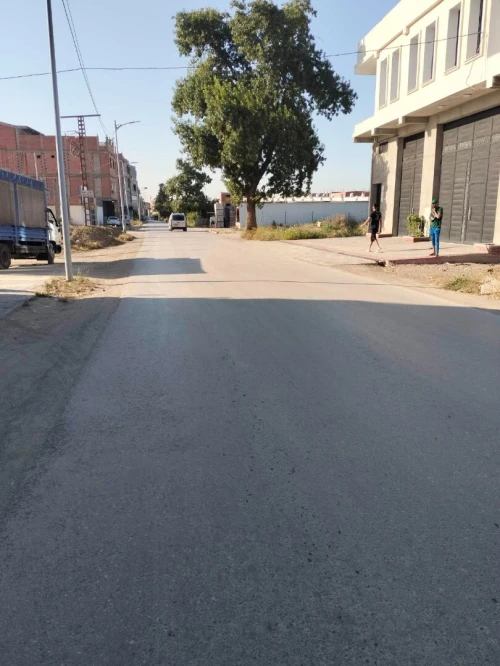 Vente Terrain Blida Boufarik