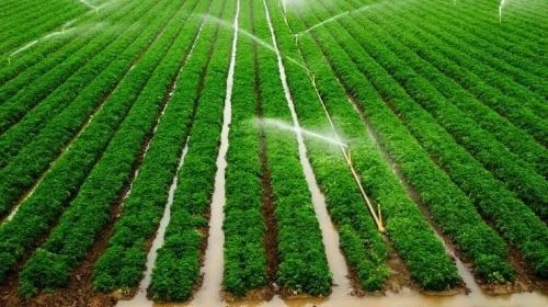 Réseau d'irrigation شبكة الري