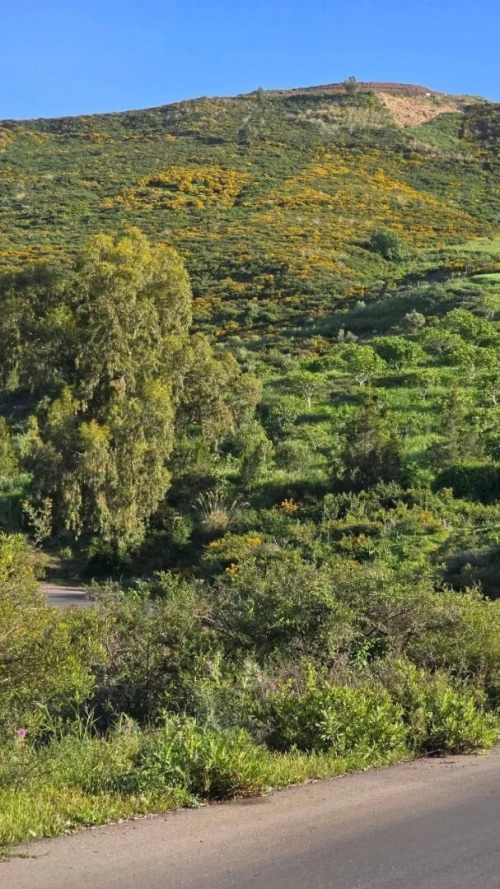 Vente Terrain Blida Djebara
