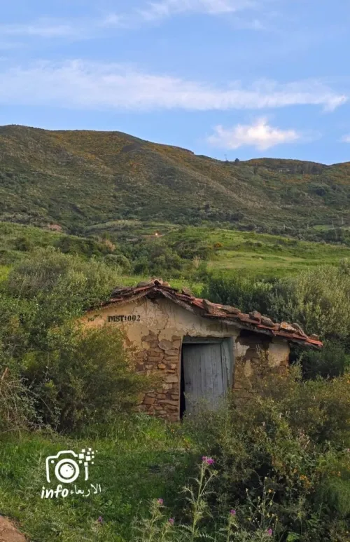 Vente Terrain Blida Djebara
