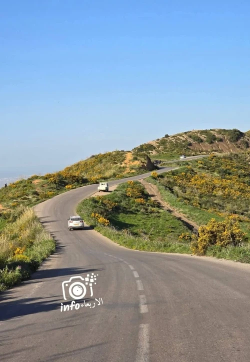 Vente Terrain Blida Djebara