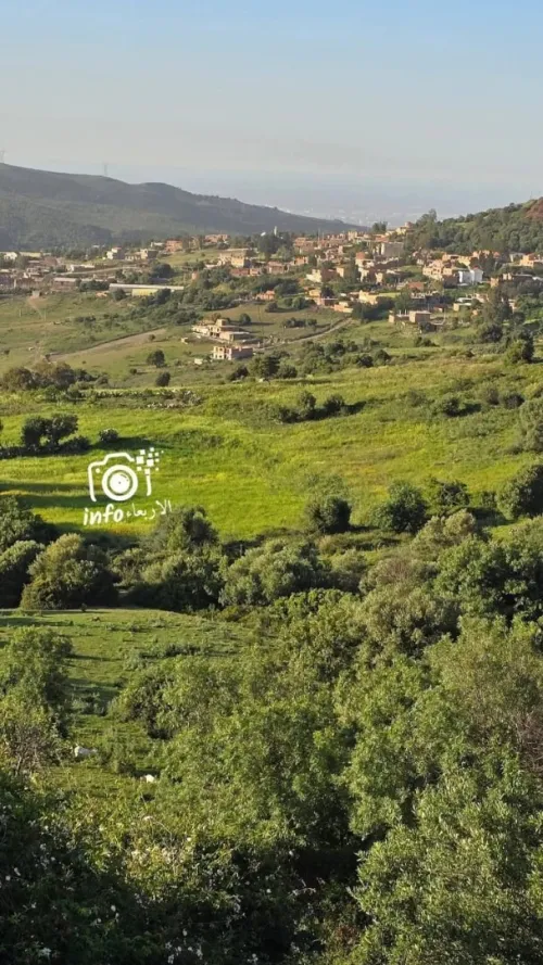 Vente Terrain Blida Djebara