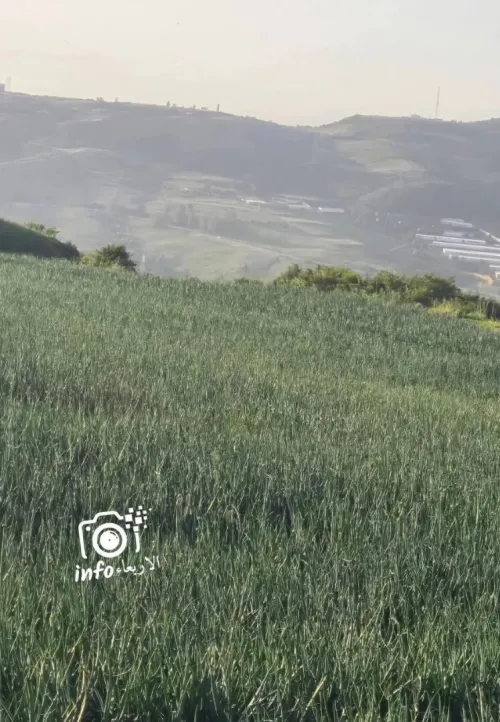 Vente Terrain Blida Djebara