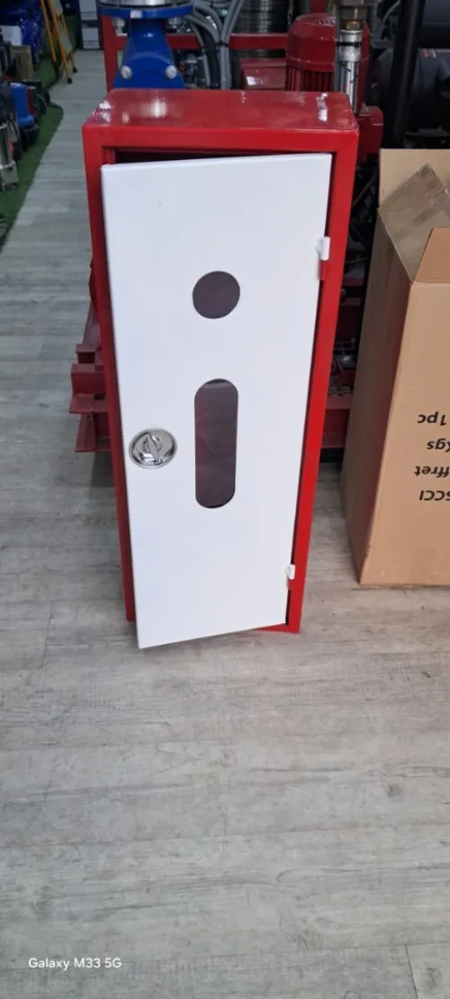Armoire extincteur 