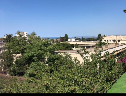 Vente Villa Alger El biar
