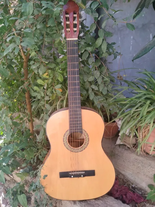 Guitare sèche Jackson 