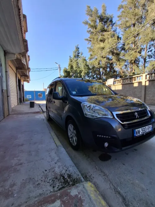 Peugeot Partner 2017 Tepee Outdoor