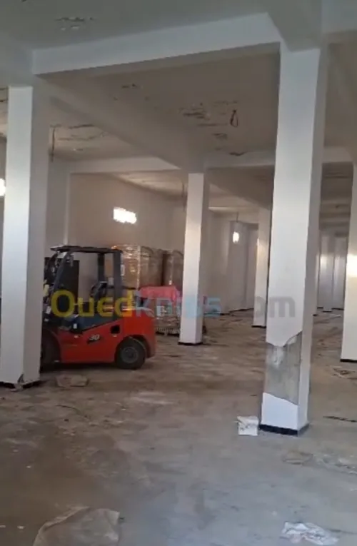 Location Hangar - Usine Alger Ouled chebel
