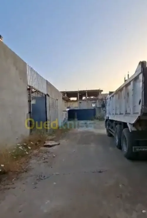Location Hangar - Usine Alger Ouled chebel