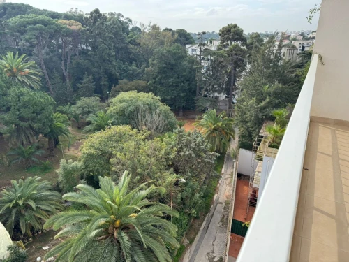Cherche location Villa Alger Kouba