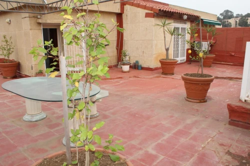 Location Appartement F7 Alger Hydra