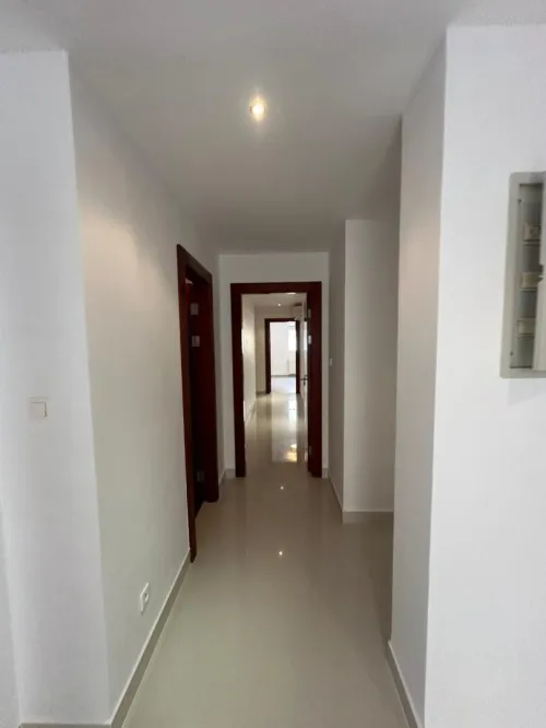 Location Appartement F4 Alger Cheraga