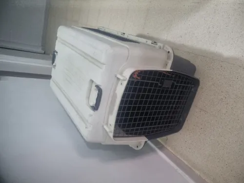 Cage pour chiens XL