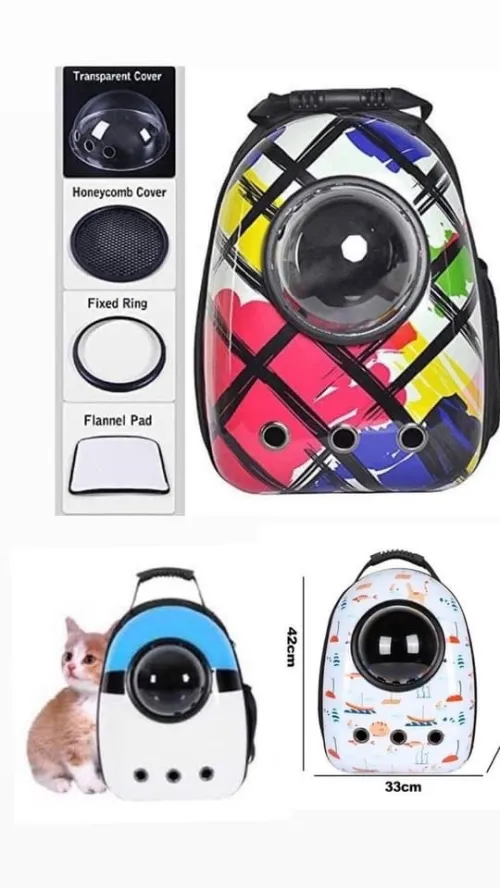 Accessoires pour chats 