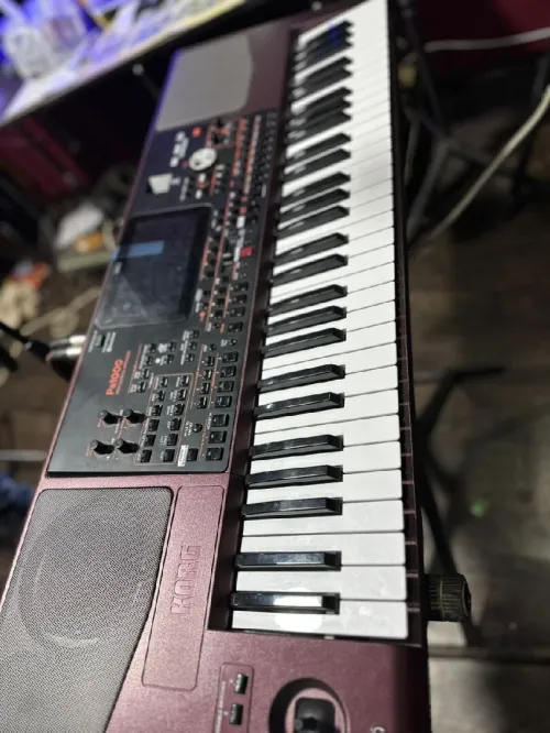 Korg PA1000