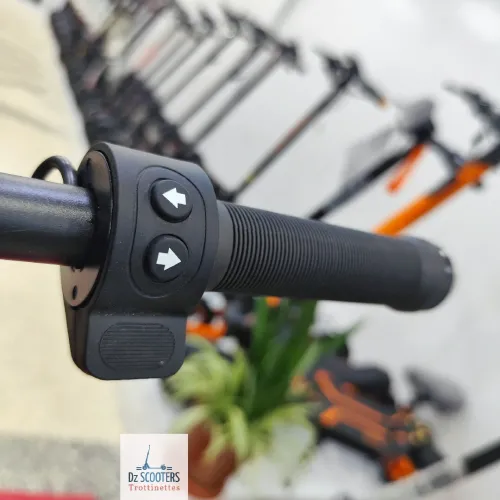 Trottinette Électrique Trotinette QUASMAX QS BOOST i Amortisseurs & Clignotants i Prix Choc!