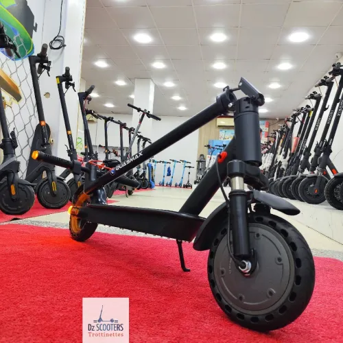 Trottinette Électrique Trotinette QUASMAX QS BOOST i Amortisseurs & Clignotants i Prix Choc!