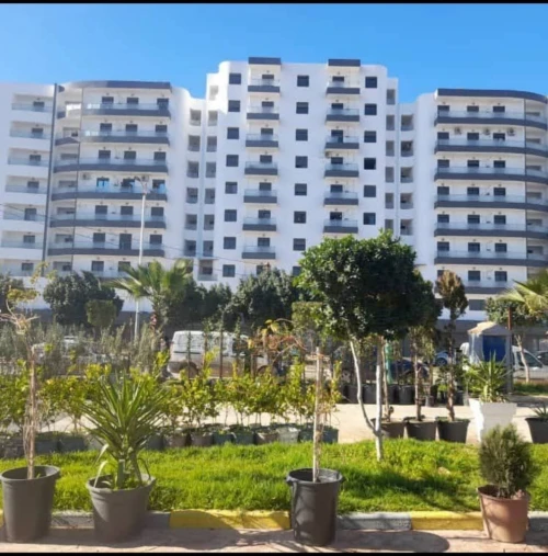 Vente Appartement F3 Chlef Chlef