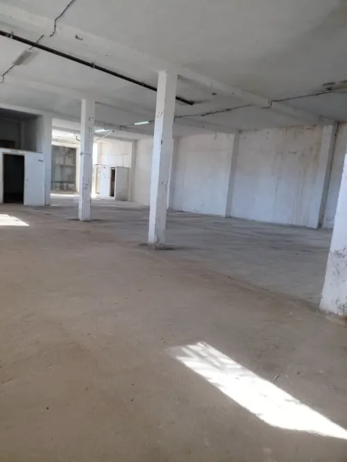 Location Hangar - Usine Oran Es senia