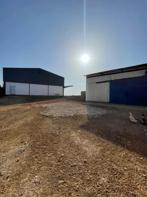 Location Hangar - Usine Oran Es senia