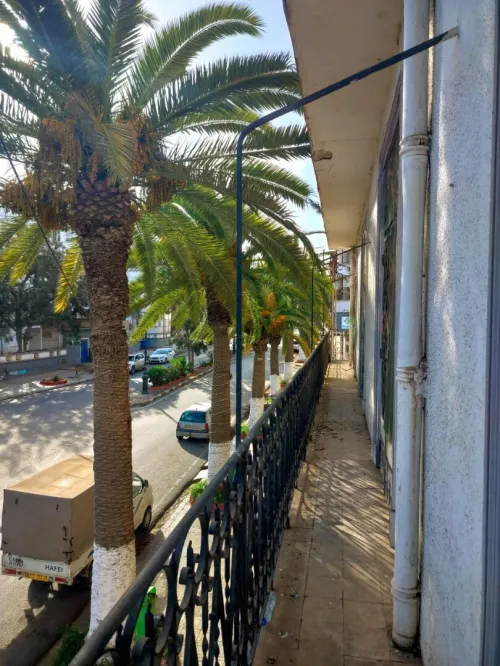Location Appartement F7 Oran Oran