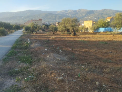 Vente Terrain Béjaïa Ait rzine