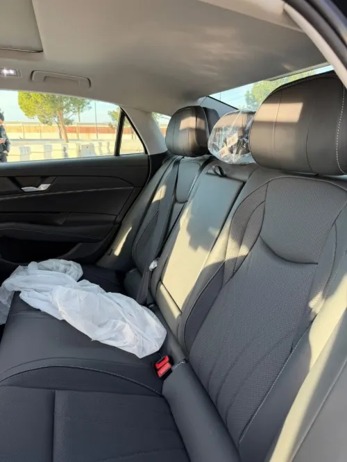 Volkswagen Passat 2025 Dragon 