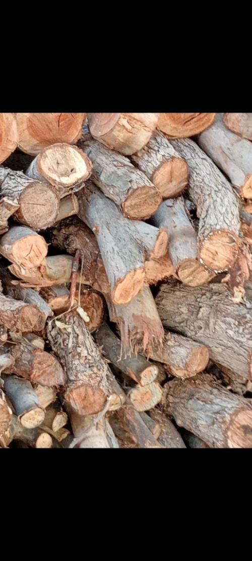 Bois pour four à pizza au feu de bois