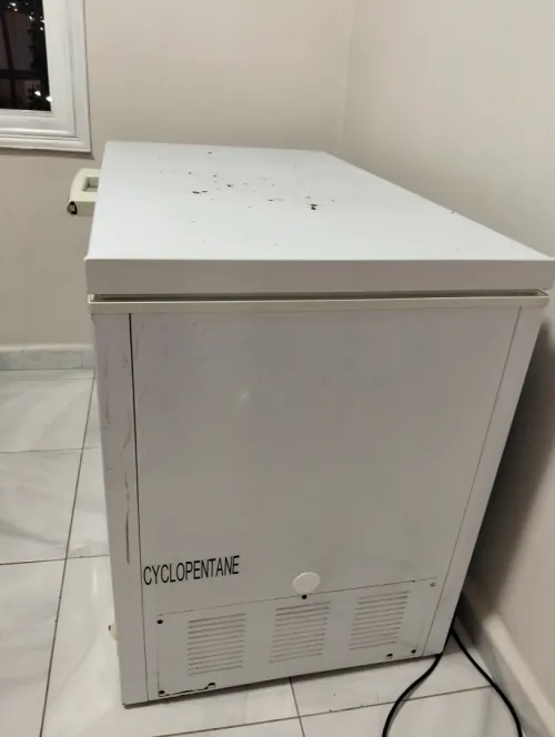 Frigo 
