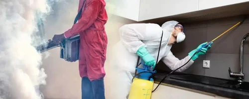 Dératisation et désinsectisation 