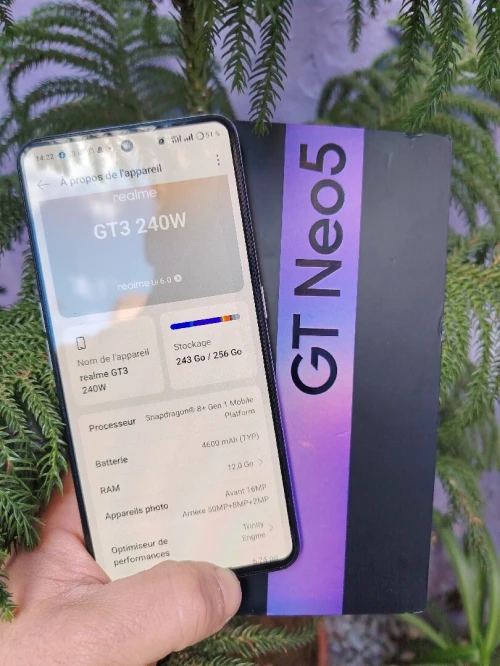 Realme Gt néo 5 (12/256) 160 watt