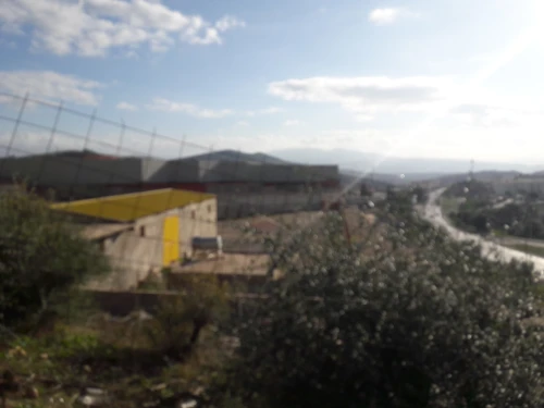 Vente Hangar Guelma Guellat bou dbaa