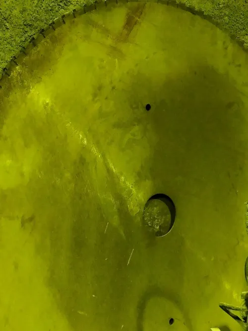 Disques diammente