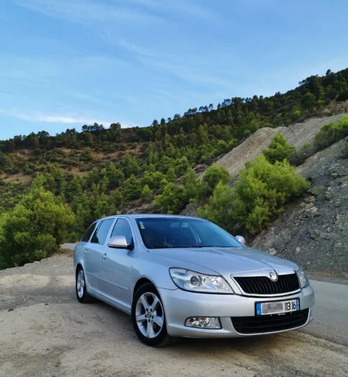 Skoda Octavia Combi 2013 Octavia Combi