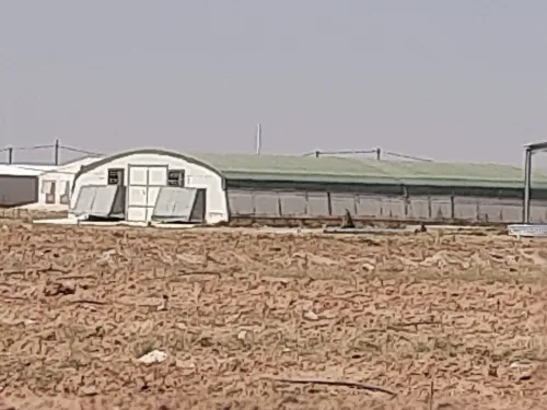 Vente Terrain Agricole Djelfa Benhar