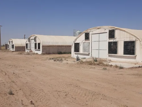 Vente Terrain Agricole Djelfa Benhar