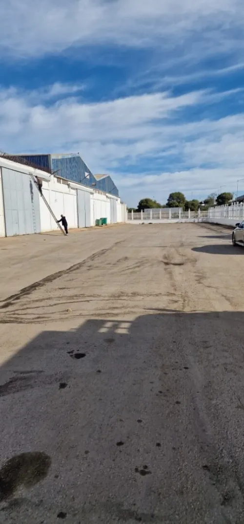 Location Hangar Oran Es senia
