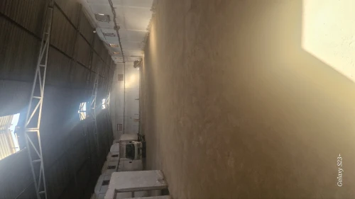 Location Hangar - Usine Alger Les eucalyptus