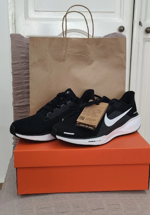 Nike Pegasus 41