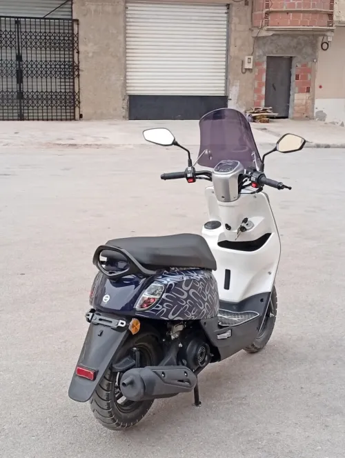 Vms Cuxi 1 2025