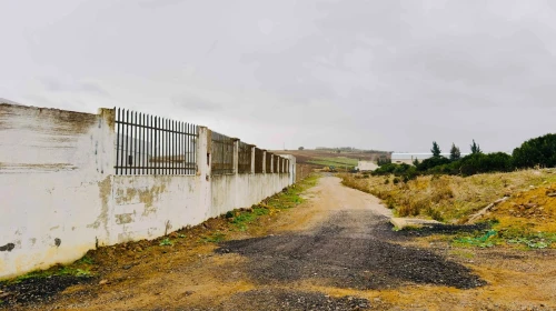 Vente Hangar - Usine Guelma Ain ben beida