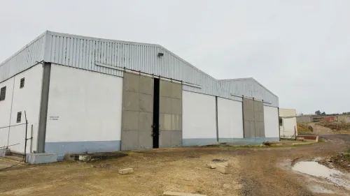 Vente Hangar - Usine Guelma Ain ben beida
