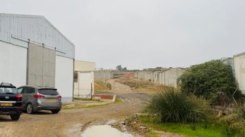 Vente Hangar - Usine Guelma Ain ben beida